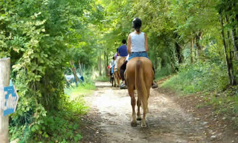 horse riding trail