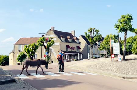 shipyard cruise home