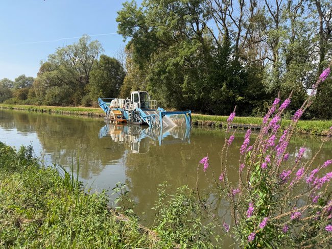 This device clears out the weeds, aliens species are taking over