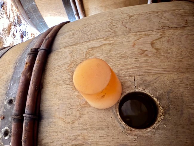 Listening to fermentation in the cellars of Chablis
