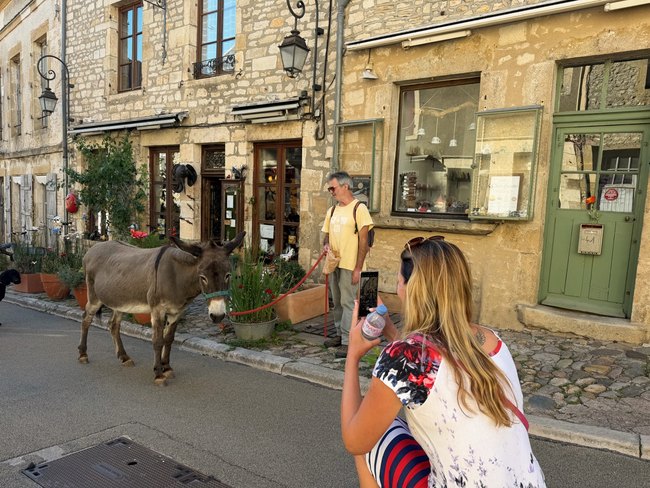 A familiar four-legged friend in Vézelay