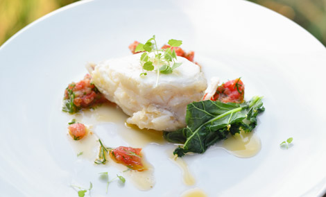 Deep fried goats cheese