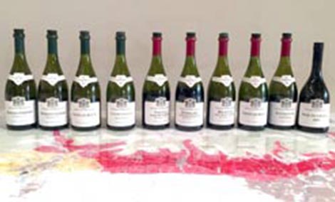 vineyard row irancy