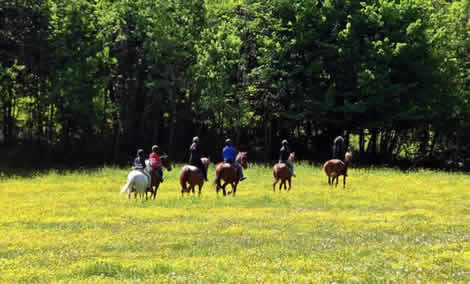 horse riding field