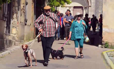 French man dog walking