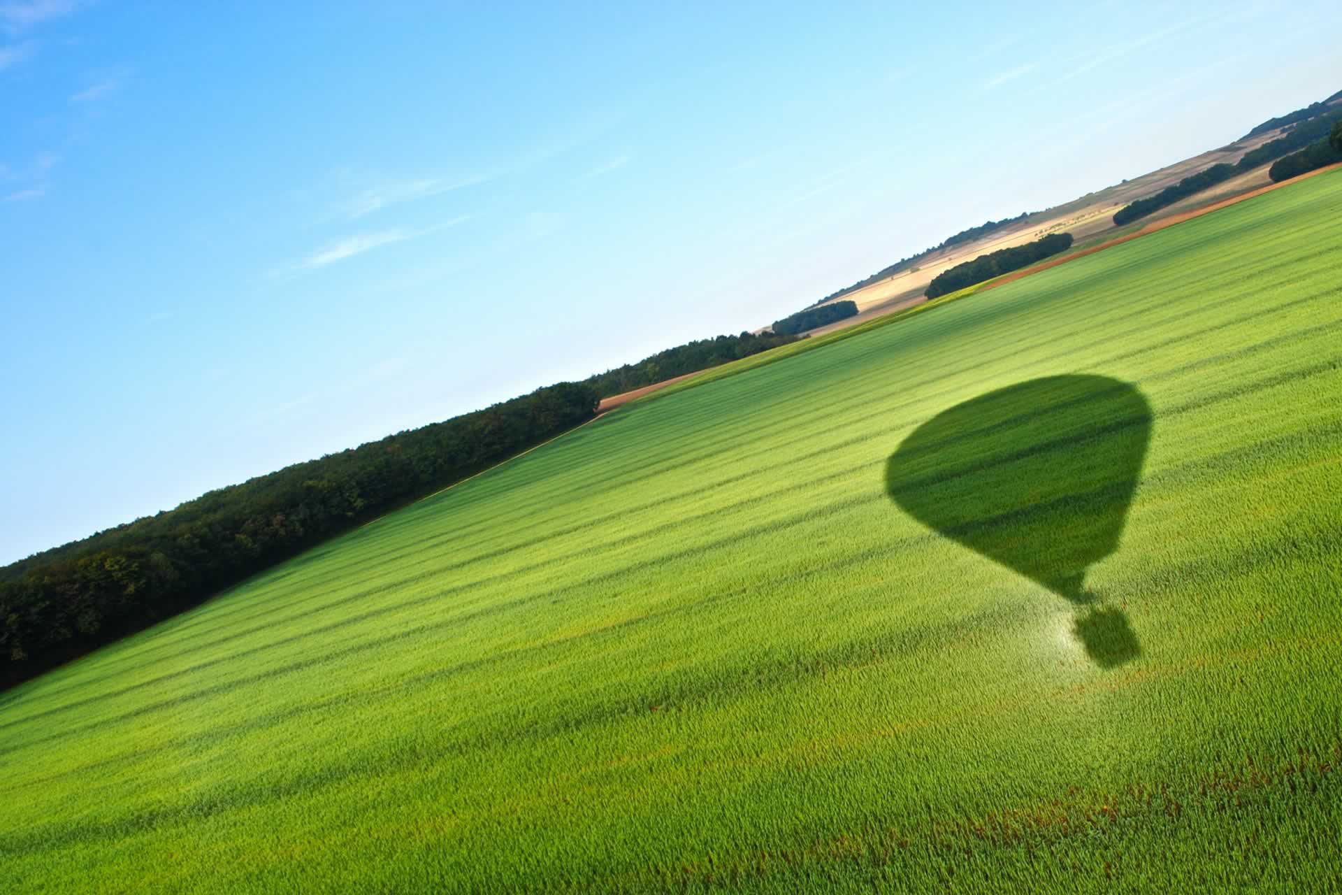 Hot air baloon over field